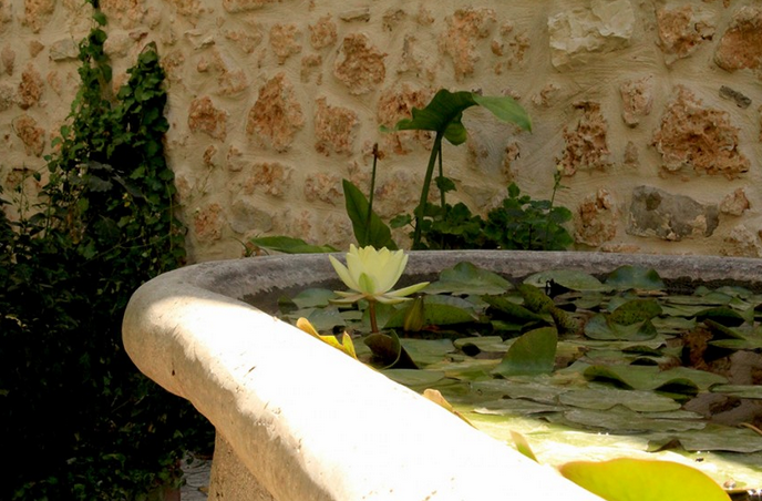 Antica Corte delle Ninfee