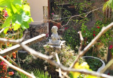 Andrea-abuslovenský-sprievodca-na-Sicílii_ubytovanieAncient-Garden